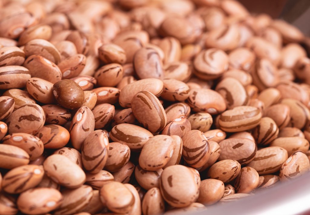 Feijão ‘carioca’ completa 60 anos; veja origem do nome e do grão no estado de SP